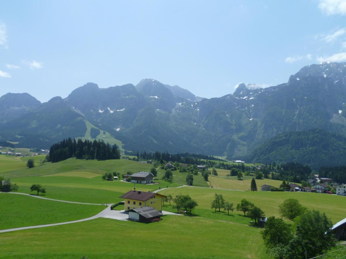 Apartement Obweghof Abtenau, Salzburger Land Εξωτερικό φωτογραφία